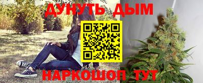 Альфа ПВП Новодвинск