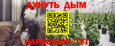 Альфа ПВП Новодвинск