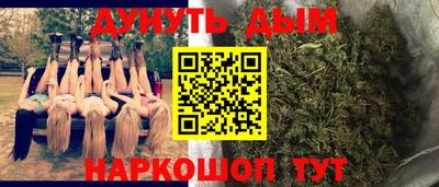 амф Новозыбков